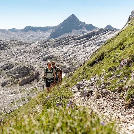 Attic Near Kitzsteinhorn Area *
