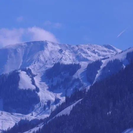 Attic Near Kitzsteinhorn Area *