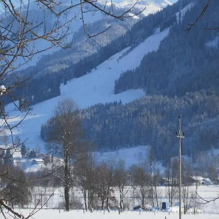 Apartment Penthouse Voll-bartl With Great Views Saalfelden